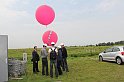 IMG_1331