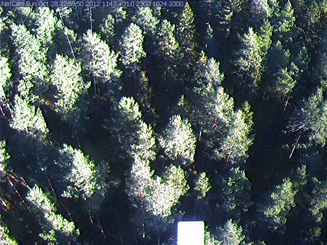Norunda Webcam