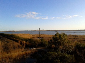 IC3-CAT - picture Ebre River Delta Station 2