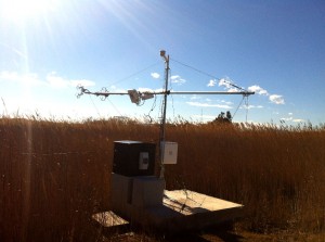 IC3-CAT - picture Ebre River Delta Station 4